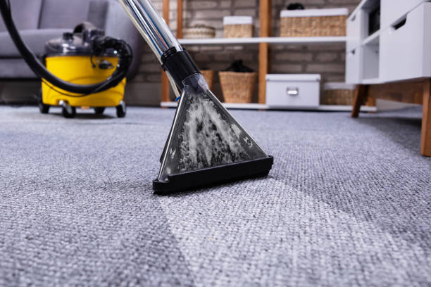 istock Person Cleaning Carpet With Vacuum Cleaner 1652009222