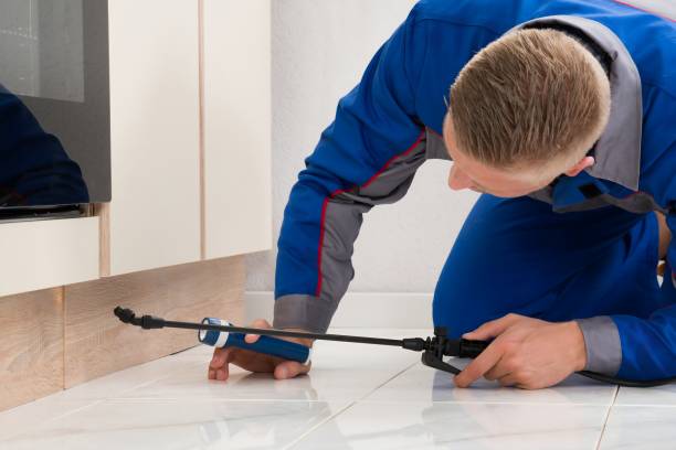 istock Male Worker Spraying Pesticide On Cabinet 1652009302