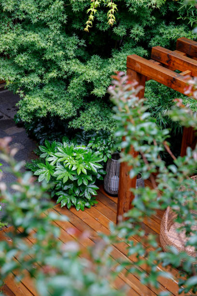 istock wooden terrace 1652011039
