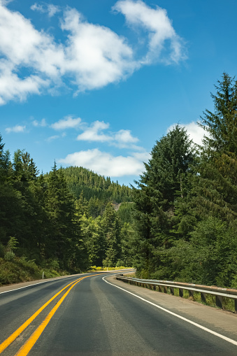 Road in summer forest. Beautiful mountain roadway, trees with green foliage. Landscape with empty asphalt road through woodland, blue sky, high mountains. Travel in United States