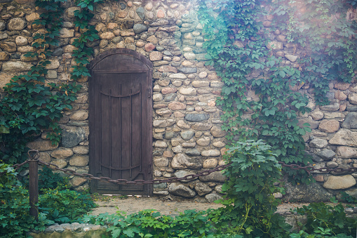An iron door in a stone wall overgrown with ivy. Old architecture
