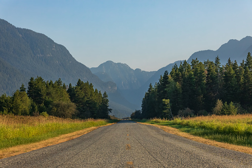 Road in summer forest. Beautiful mountain roadway, trees with green foliage. Landscape with empty asphalt road through woodland, blue sky, high mountains. Travel in Canada