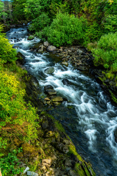 istock Ketchikan's Creek, Alaska, USA 1652038850