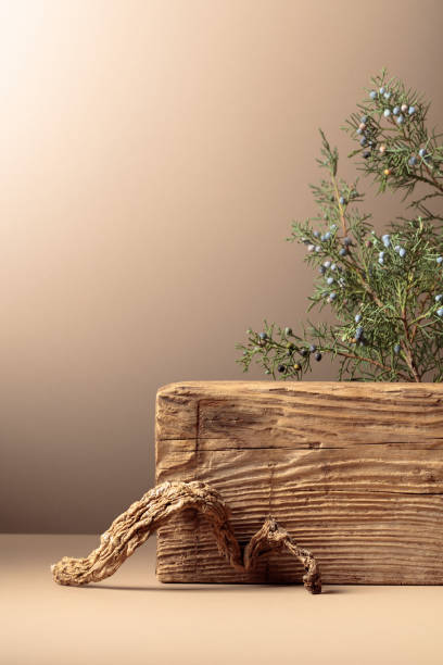 istock Abstract composition of old wooden plank and juniper branch. 1652054055