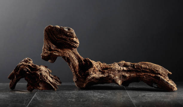 istock Old dry wooden snag on a black stone table. 1652054065