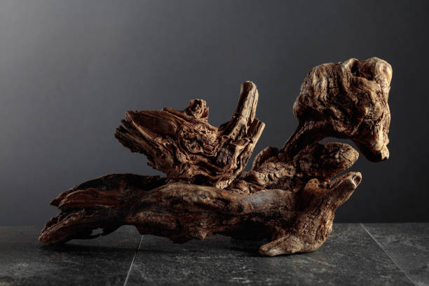 istock Old dry wooden snag on a black stone table. 1652054577