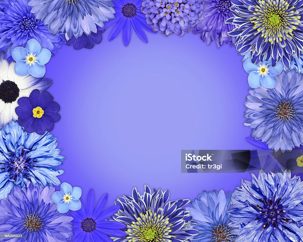 Quadro de flores com azul, roxo Flor - Royalty-free Amarelo Foto de stock
