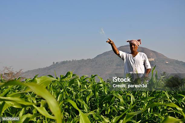 Farmer Que Fertilizante A Granja Foto de stock y más banco de imágenes de India - India, Agricultor, Fertilizante