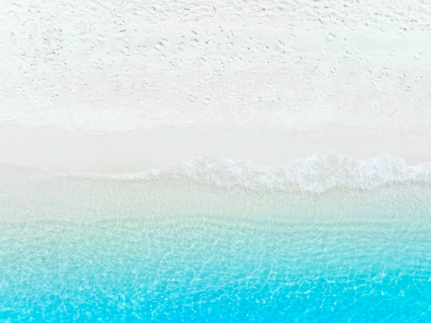 istock Beach Wave water in the Tropical summer beach with  sandy beach background 1652058775