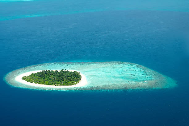 istock Tropical Maldivian island in Indian ocean 165206115
