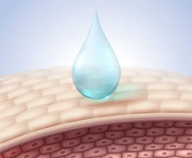 Vector illustration of Drop moisturizer onto skin cells