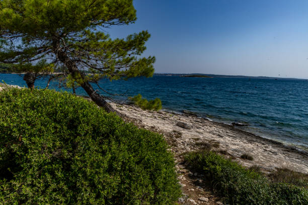 istock Wild nature stony beaches Kamenjak Peninsula Pula landscape 1652074477