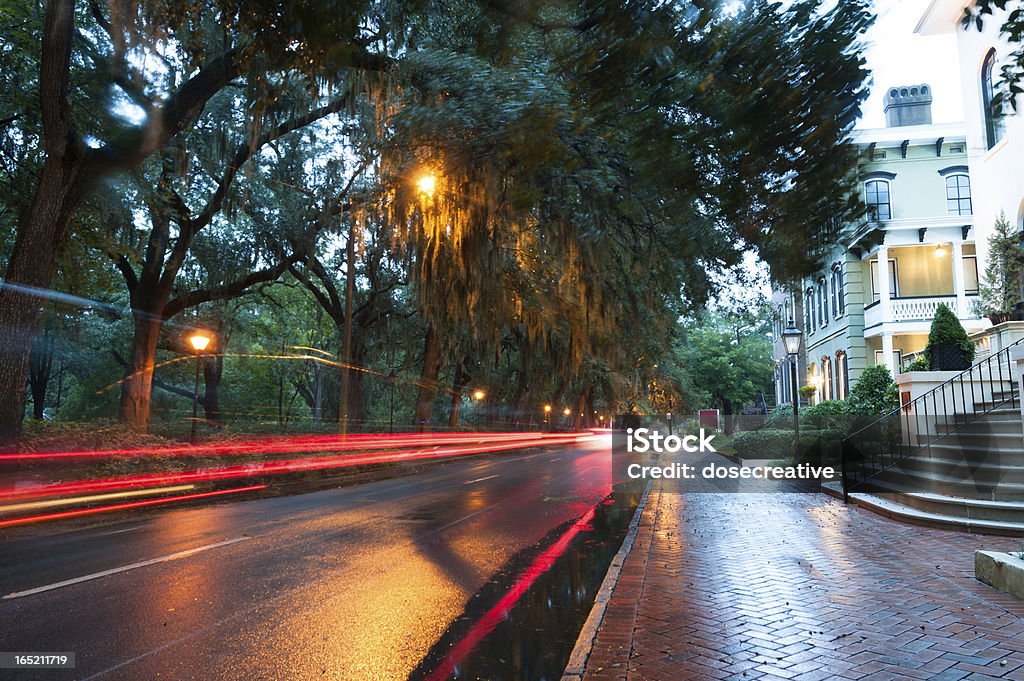 Savannah Po deszczu - Zbiór zdjęć royalty-free (Bez ludzi)