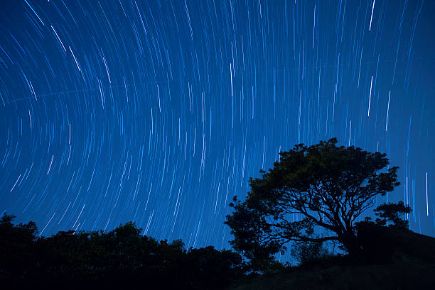senderos de estrellas en el cielo nocturno con árbol, hong kong - clear sky hong kong island hong kong china fotografías e imágenes de stock