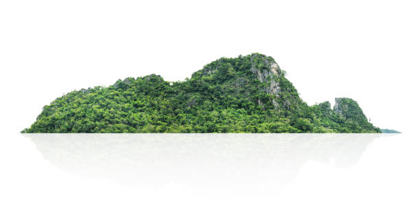 istock rock mountain hill with green forest isolate on white background 1652128101