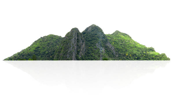 istock rock mountain hill with green forest isolate on white background 1652128106