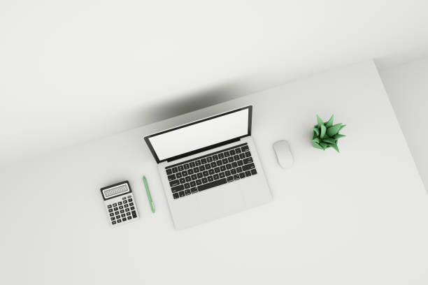 Minimalistic office with laptop with blank screen, calculator, computer mouse, Green plant and pen on table. work from home concept. 3D Rendering.