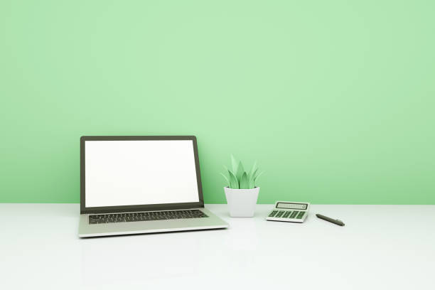 Minimalistic office with laptop with blank screen, calculator, Green plant and pen on table. work from home concept. 3D Rendering.