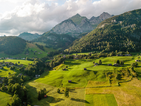 Beautiful view of idyllic alpine mountain scenery with blooming meadows and snowcapped mountain peaks on a beautiful sunny day with blue sky in springtime