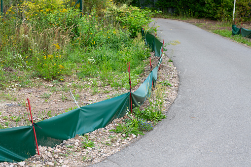protective fence for reptiles and amphibians on a street