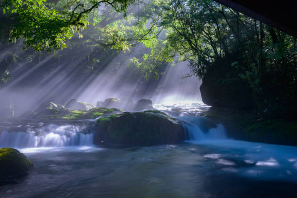 istock Refreshing Kikuchi Valley in summer 1652213591