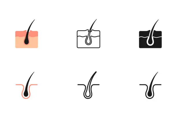 Vector illustration of Hair Follicle Structure Icon Set.