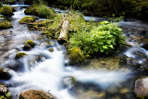 Holidays in Poland - Bystra stream in the Bystra valley in the Tatra Mountains