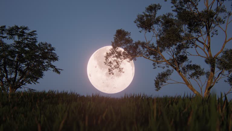 Moon over grass and trees