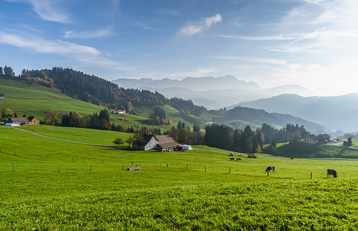 Idyllic mountain landscape in the Appenzell Alps with farmhouses, green meadows and grazing cows, the Alpstein mountains with Saentis in the background, Appenzellerland, Canton Appenzell Innerrhoden, Switzerland.