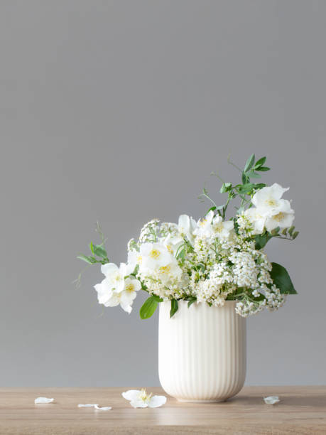 istock white summer flowers on gray background 1652279983