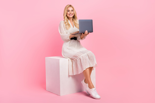 Full body size cadre of curly hair business lady mature sitting white box holding netbook order online isolated on pink color background.