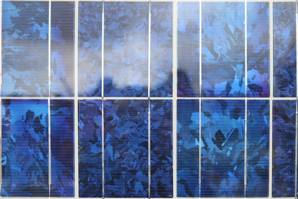 Solar panels on the water