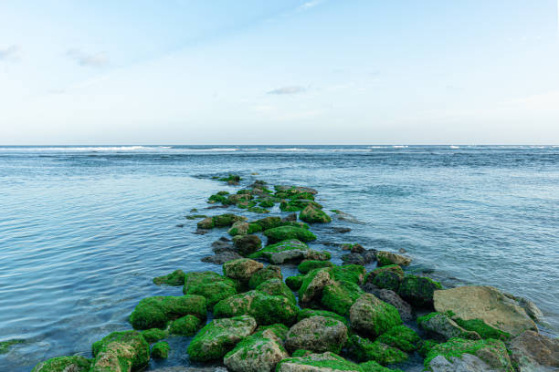 The view of the horizon with mossy coral roads to the beautiful sea waves on the beach on a sunny afternoon