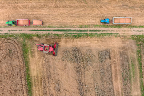 istock Combine harvester working on the wheat field. 1652322737