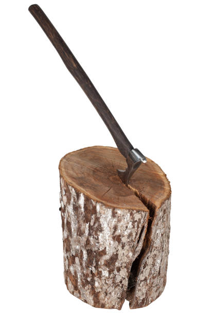 istock antique axe with wooden handle in wood log on white background 1652323152