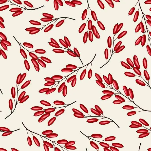 Vector illustration of Barberry seamless pattern.