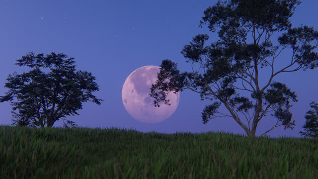 Moon over grass and trees