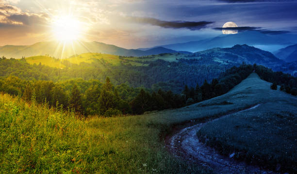 istock dirt road to coniferous forest winding through the grassy meadow 1652347065