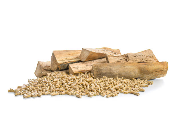 wood pellets and beech logs on white