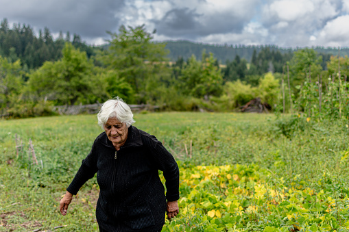 This image captures the serene moment of a senior woman returning from the garden, her content smile reflecting the satisfaction of time spent nurturing her plants