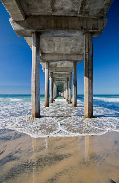 istock Scripps Pier, La Jolla California 165246408