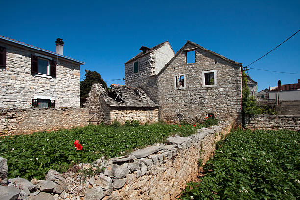 Old abandoned ruins and garden with potato stems, Grohote, Solta island