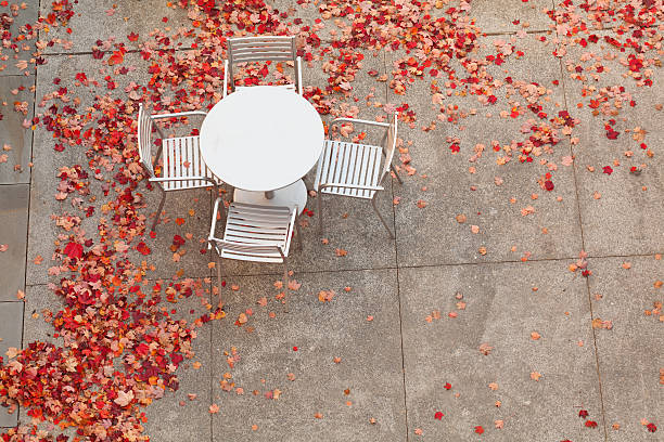 Table entourée de feuilles - Photo