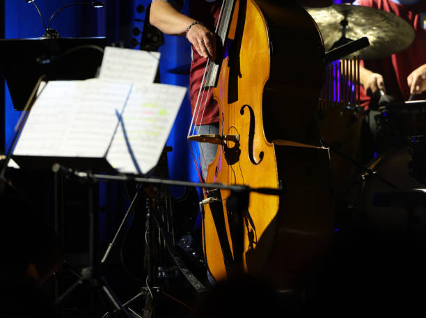 istock Double bass on the stage during the concert 1652476004
