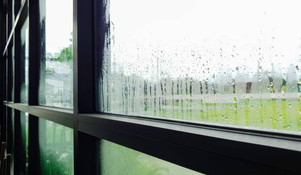 istock Rain drop on glass window with green plant outside home 1652480899