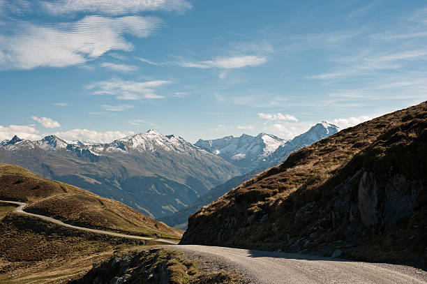 Winding mountain road with a blooming wall on the right side