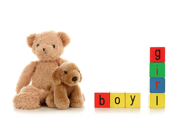istock Two cuddly toys sat beside colourful alphabet blocks . 165249933