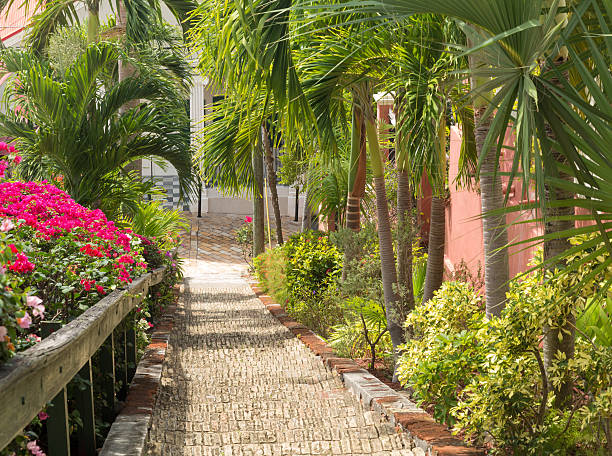 istock Famous 99 steps Charlotte Amalie 165250128