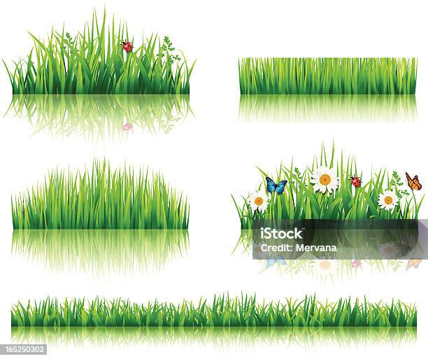 잔디 및 꽃 세트 무당벌레에 대한 스톡 벡터 아트 및 기타 이미지 - 무당벌레, 풀-벼과, 나비