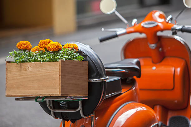 istock Flowers on the Back of a Scooter 165250660